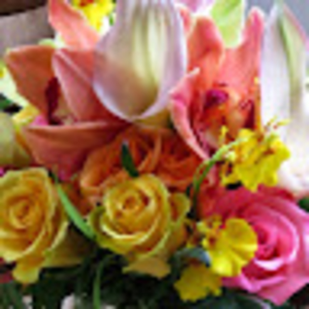 Meet your Posher, Caterina